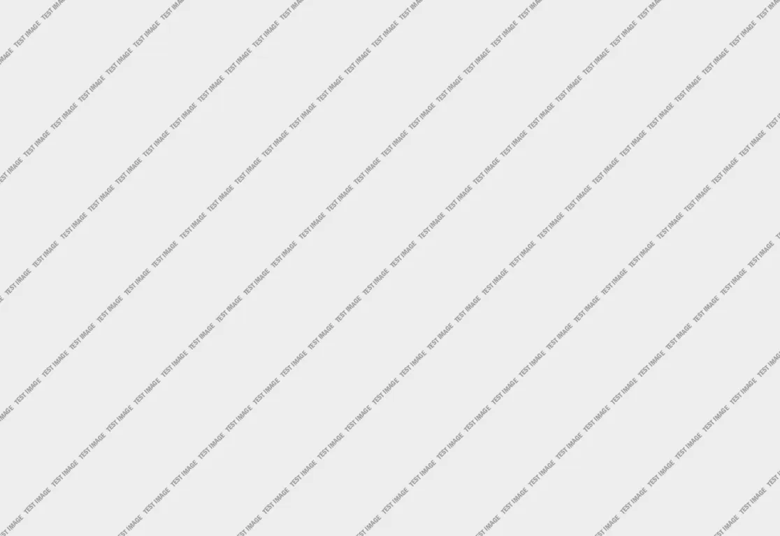 Test Bild Test Bild